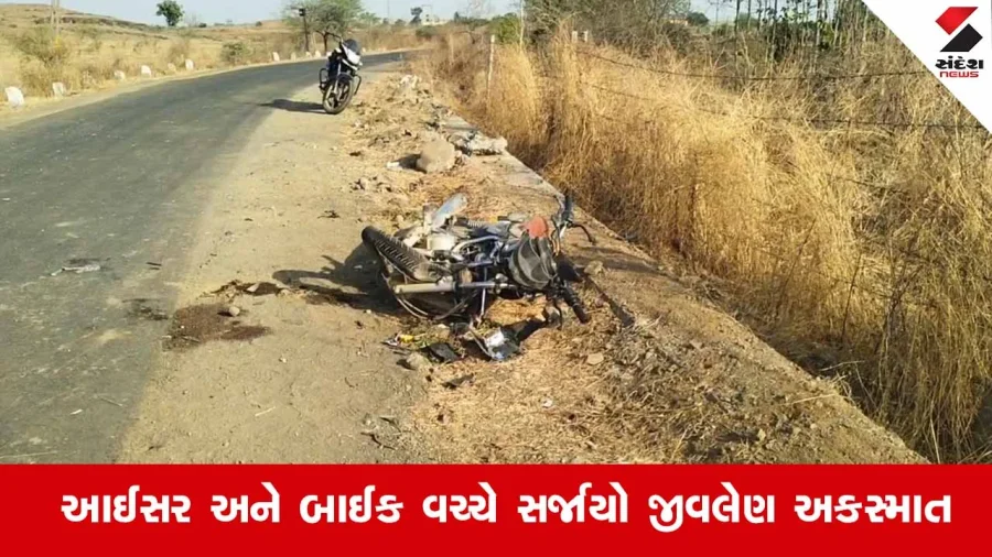 ભાવનગર અકસ્માત: આઈસર ચાલકે સાસુ-જમાઈને મારી નાખ્યા