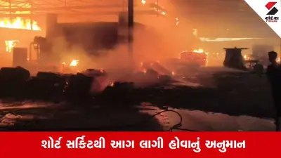 કચ્છમાં પ્લાયવુડ કંપનીમાં ભીષણ આગ લાગી